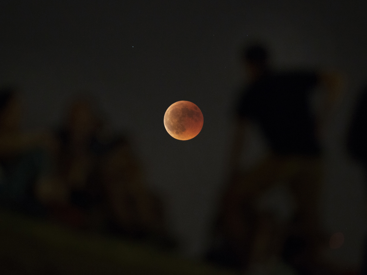 Blood moon Photo Gallery - Sakshi7