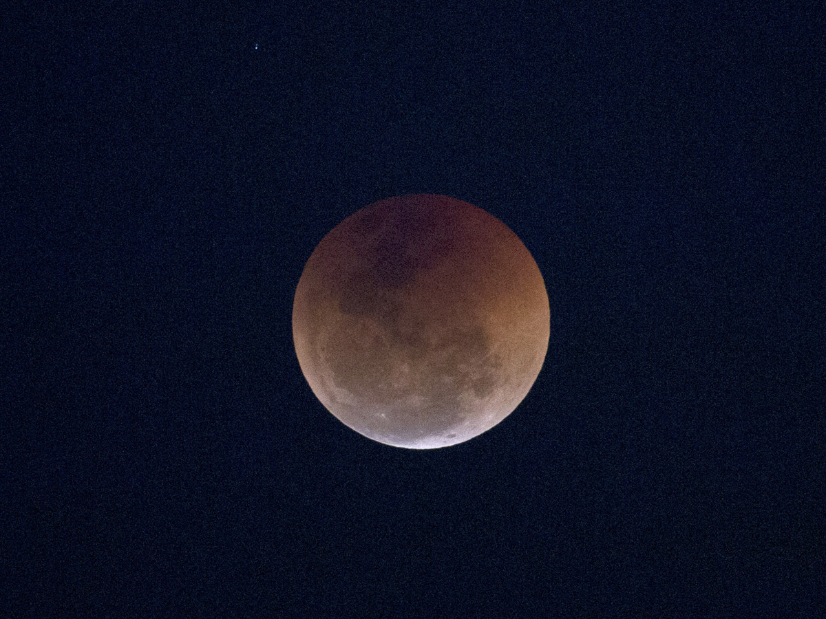 Blood moon Photo Gallery - Sakshi8