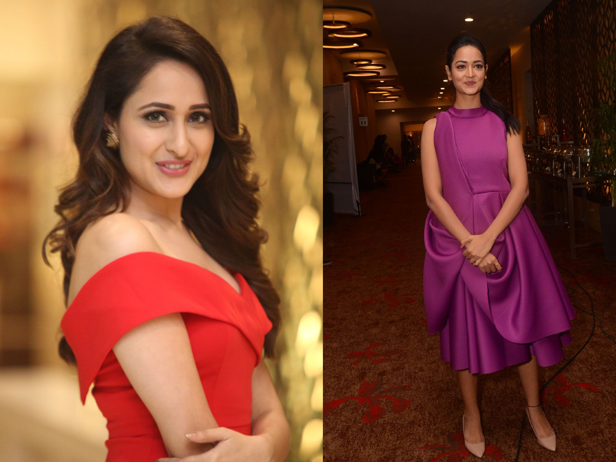 SIIMA AWARDS 2018 Curtain Raiser EVENT Photo Gallery - Sakshi11