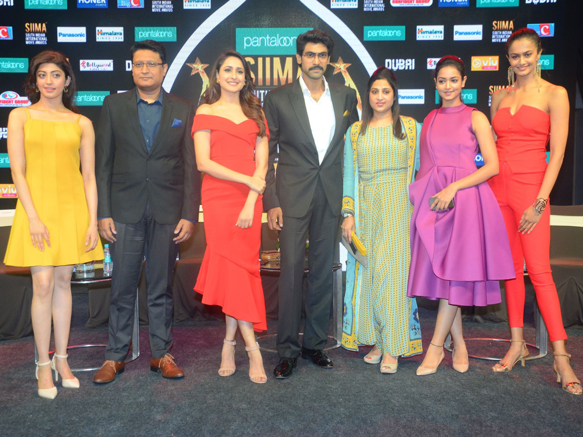 SIIMA AWARDS 2018 Curtain Raiser EVENT Photo Gallery - Sakshi2