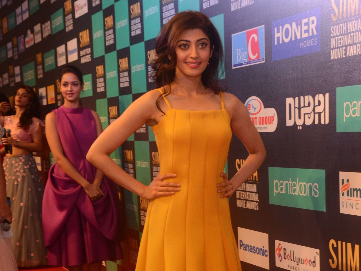 SIIMA AWARDS 2018 Curtain Raiser EVENT Photo Gallery - Sakshi5