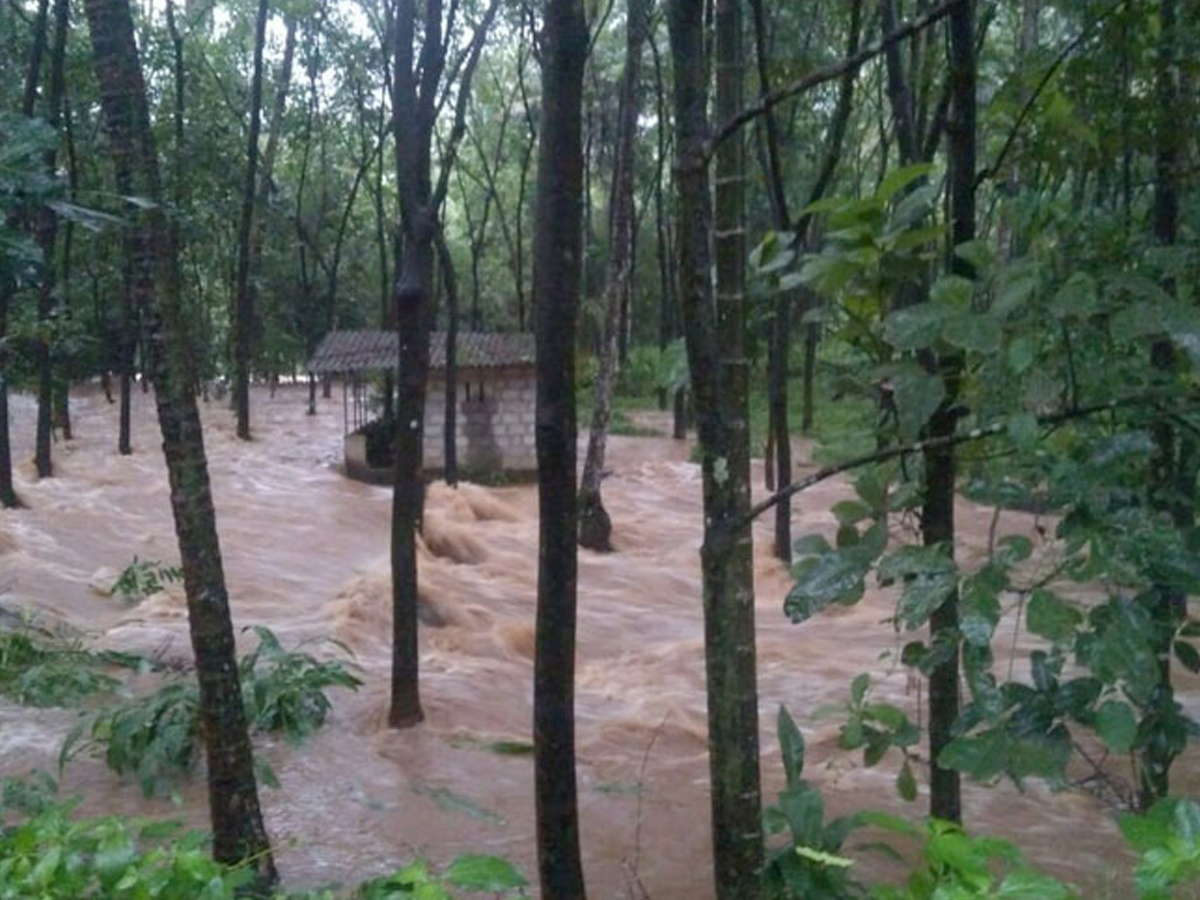 Kerala floods Photo Gallery - Sakshi31