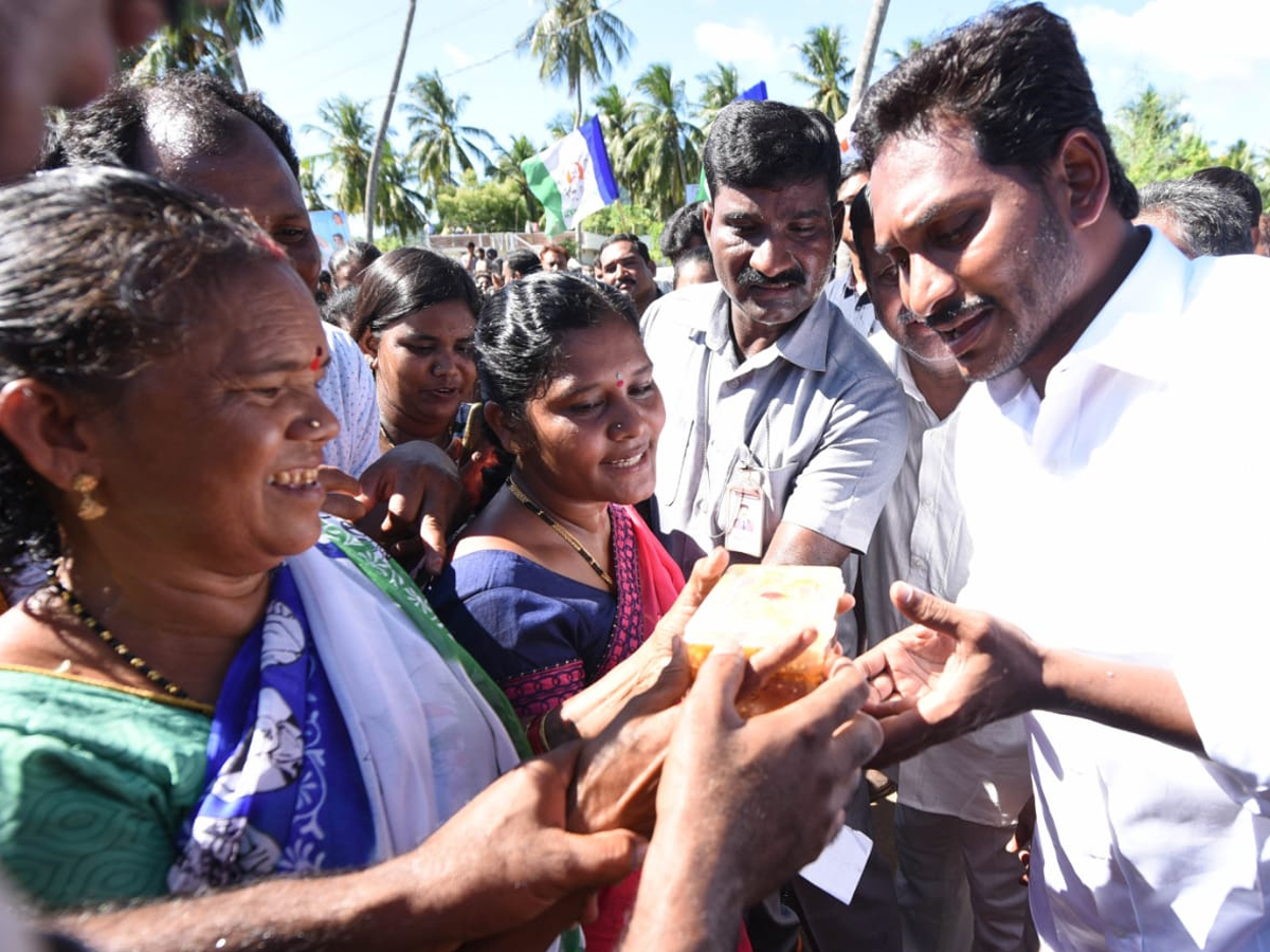 YS Jagan PrajaSankalpaYatra 242th Day Photo Gallery - Sakshi9