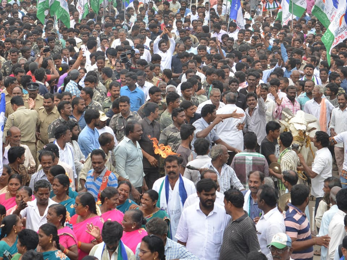 YS Jagan PrajaSankalpaYatra 249th Day Photo Gallery - Sakshi25