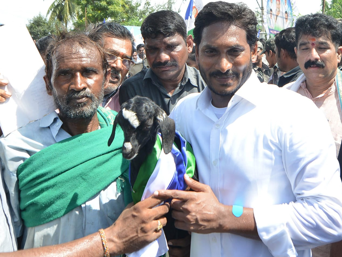 YS Jagan PrajaSankalpaYatra Day 251 Photo Gallery - Sakshi12