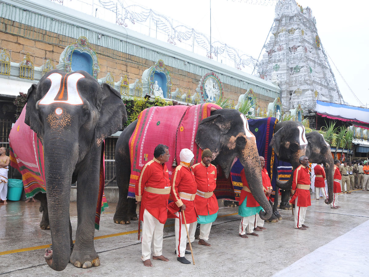 Tirumala Brahmotsavam 2018 Photo Gallery - Sakshi27