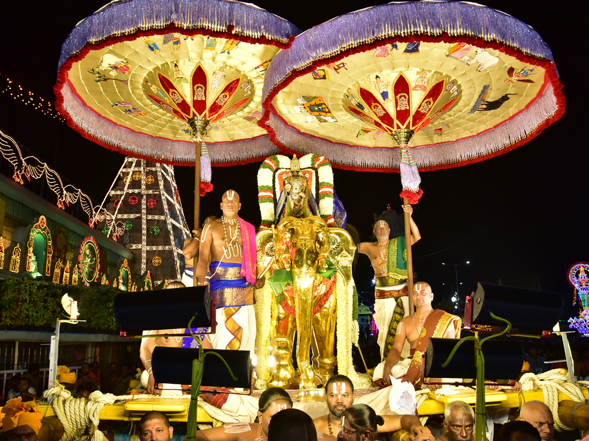 Tirumala Brahmotsavam Gaja Vahana Seva Photo Gallery - Sakshi1