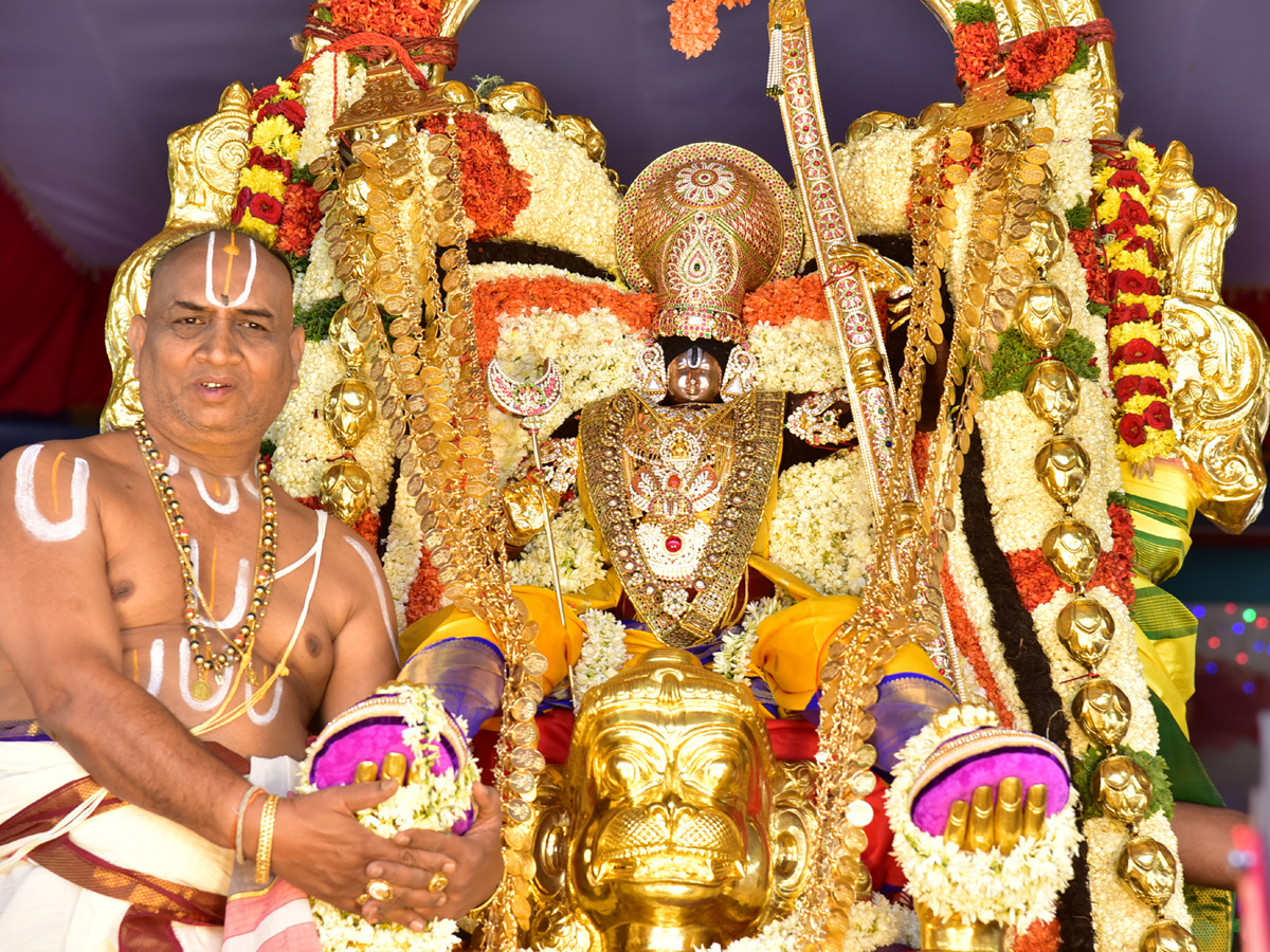 Tirumala Brahmotsavam Gaja Vahana Seva Photo Gallery - Sakshi10