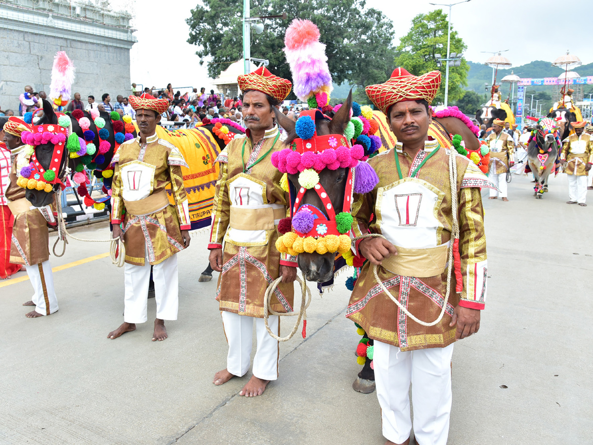 Tirumala Brahmotsavam Gaja Vahana Seva Photo Gallery - Sakshi14