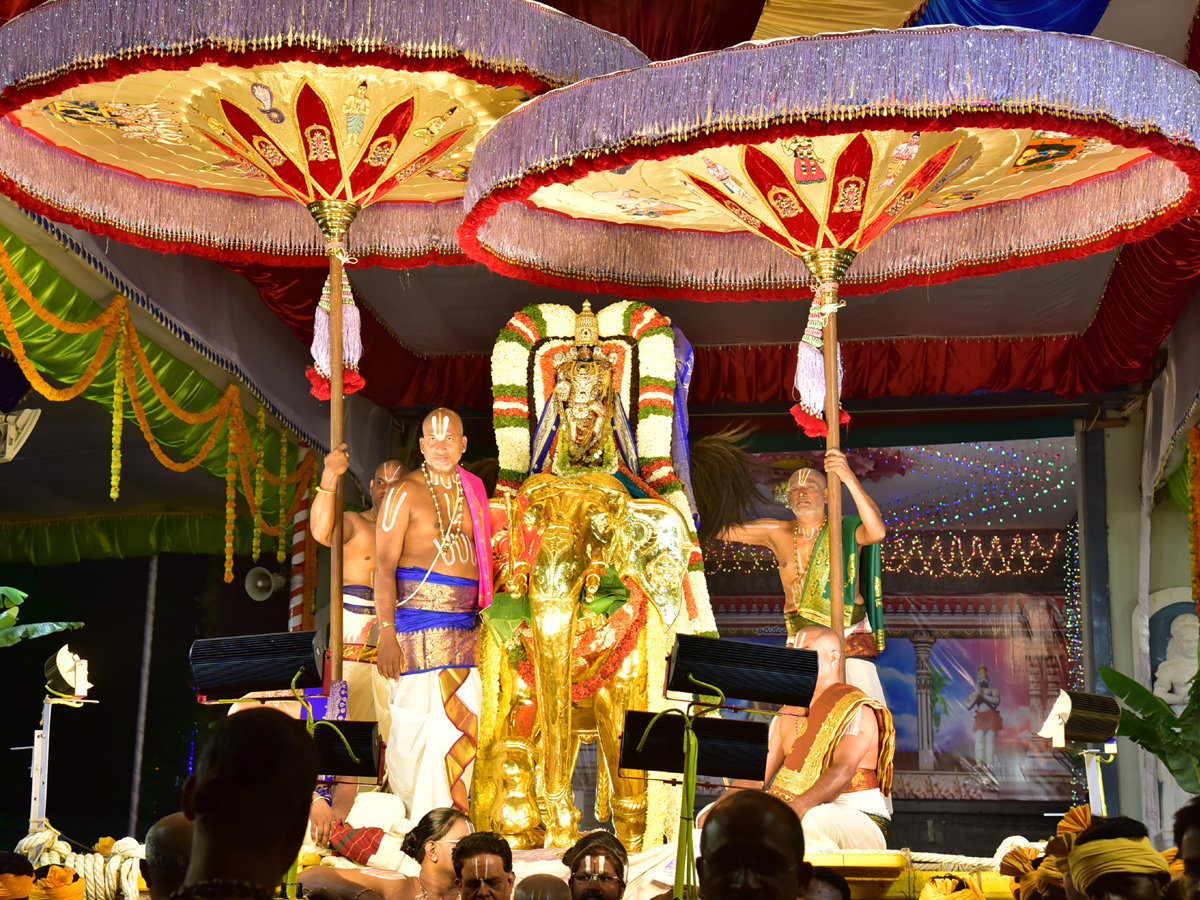 Tirumala Brahmotsavam Gaja Vahana Seva Photo Gallery - Sakshi22