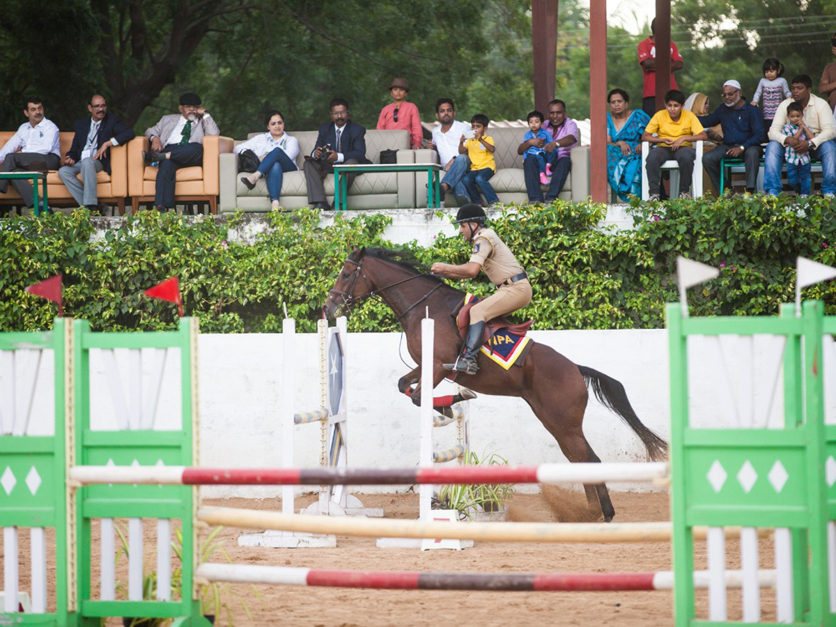 regional equestrian league Photo gallery - Sakshi6