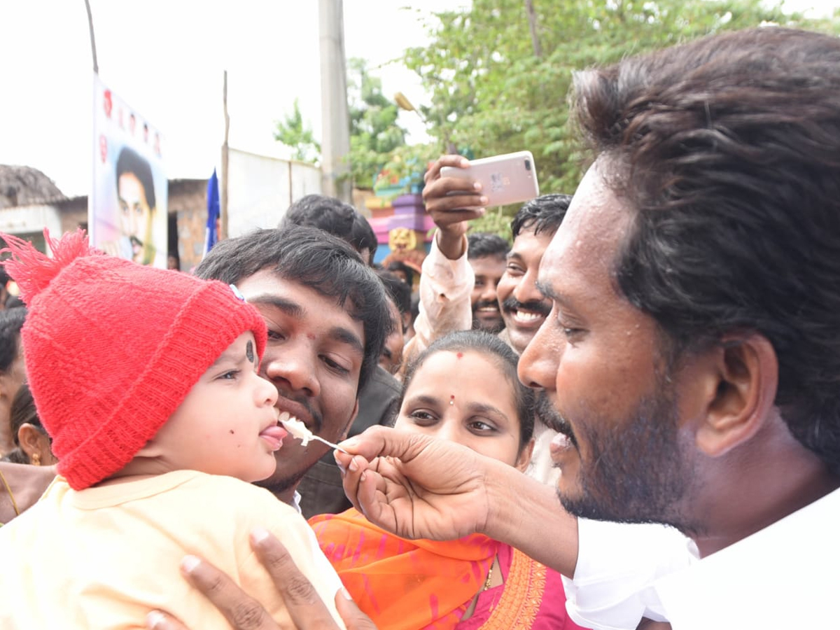 YS Jagan PrajaSankalpaYatra 255th Day Photo Gallery - Sakshi3