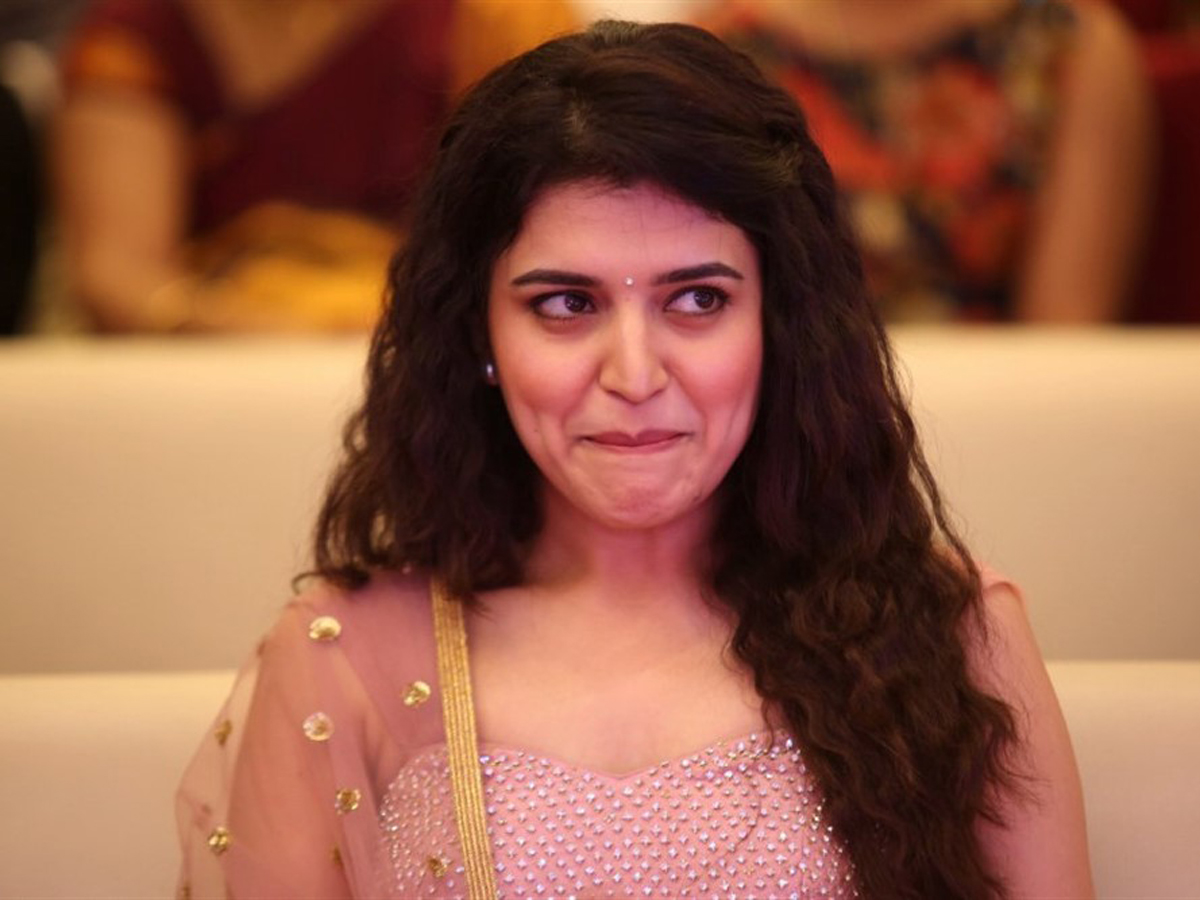 Silly Fellows Pre Release Photo Gallery - Sakshi3