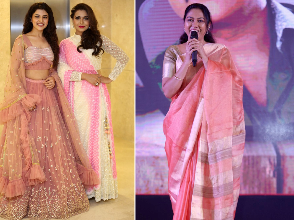 Silly Fellows Pre Release Photo Gallery - Sakshi8