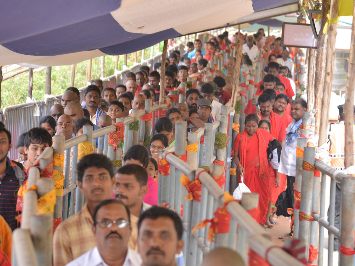 Durga Temple Dasara Festival in Photo Gallery - Sakshi35