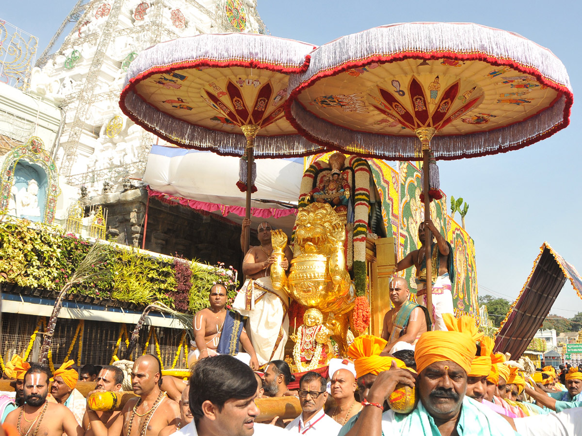 Simha Vahanam in Tirumala Photo Gallery - Sakshi1
