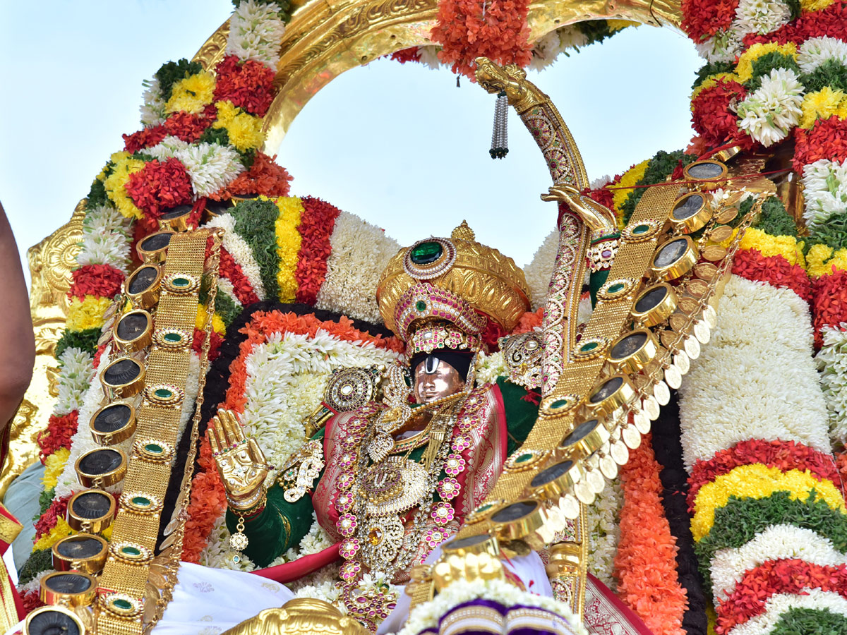 GOVINDARAJA RIDES ON HANUMANTHA VAHANAM - Sakshi2