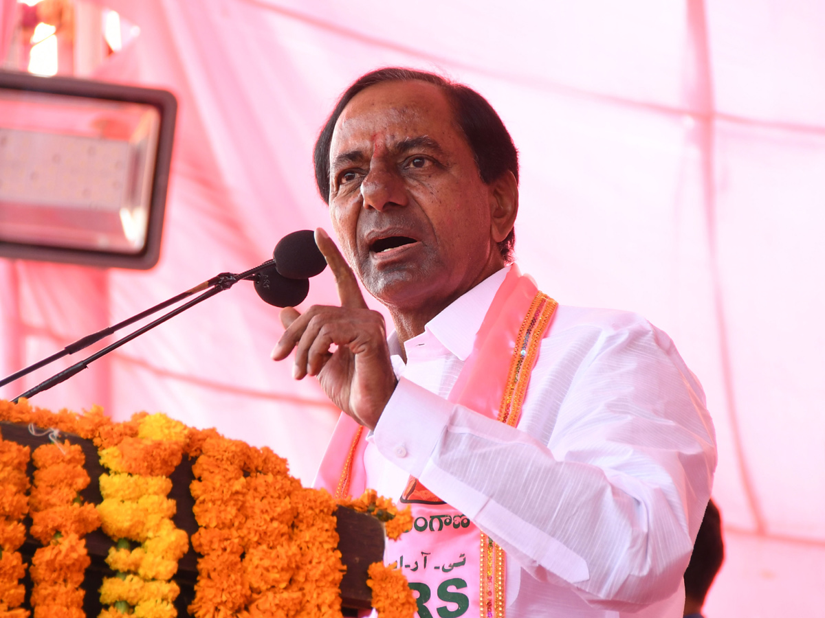 TRS Meeting at Erravalli Farm House Photo Gallery - Sakshi1