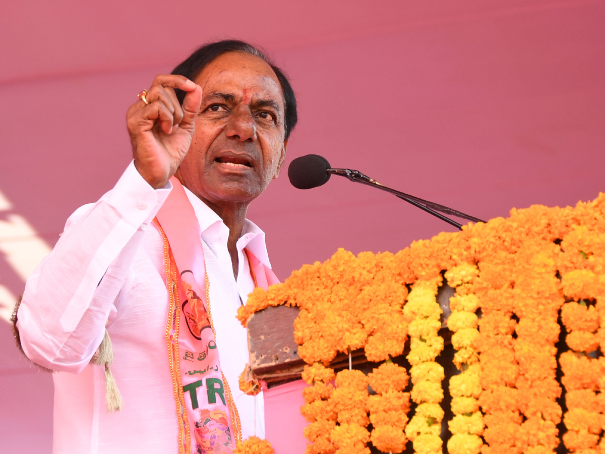TRS Meeting at Erravalli Farm House Photo Gallery - Sakshi16