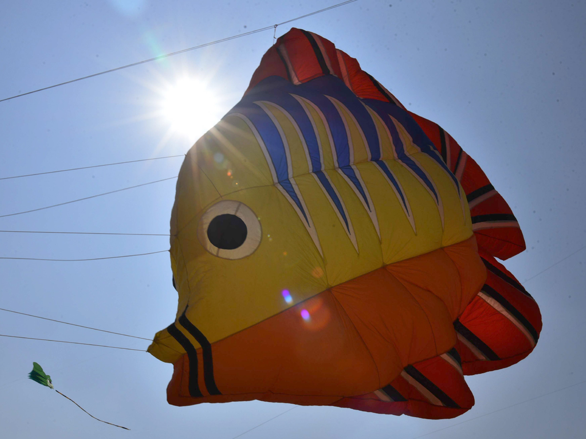 Telangana Kites festival 2019 Photo Gallery - Sakshi17