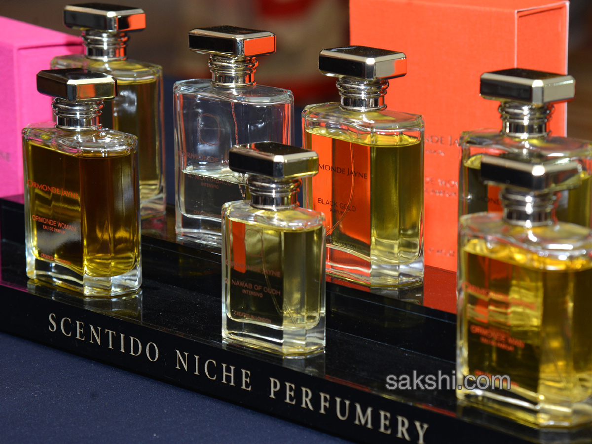 The Indian Luxury Expo - Sakshi12