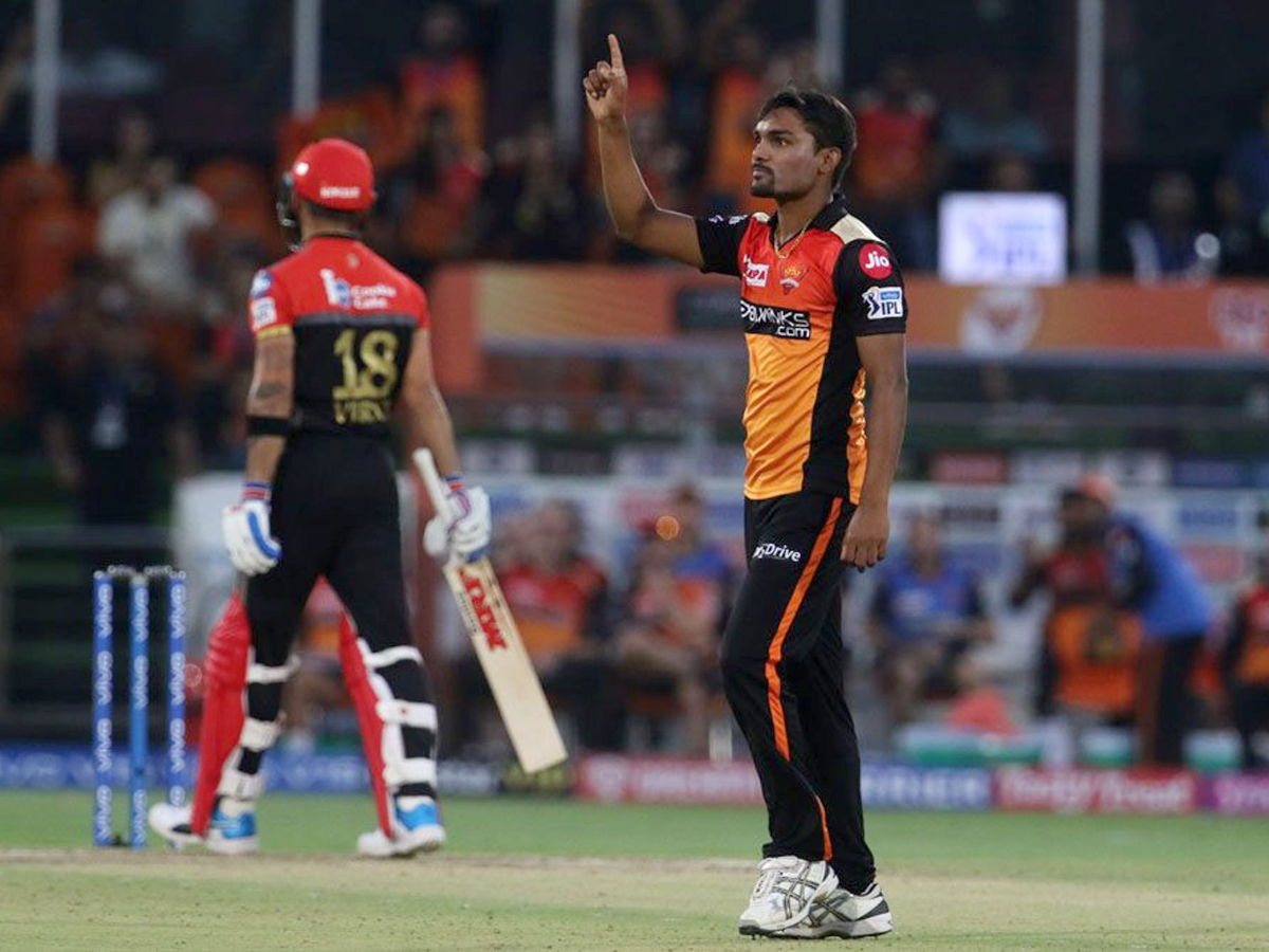 sunrisers beat Royal Challengers Bangalore 118 runs Photo Gallery - Sakshi1