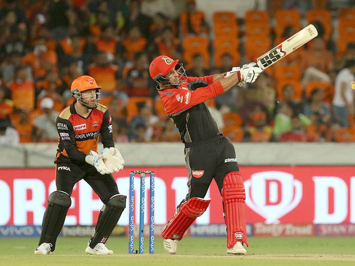 sunrisers beat Royal Challengers Bangalore 118 runs Photo Gallery - Sakshi10