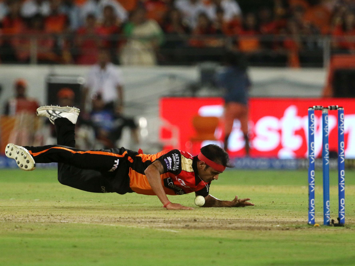 sunrisers beat Royal Challengers Bangalore 118 runs Photo Gallery - Sakshi11
