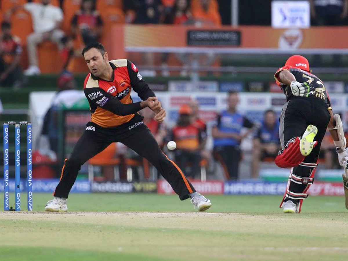 sunrisers beat Royal Challengers Bangalore 118 runs Photo Gallery - Sakshi2