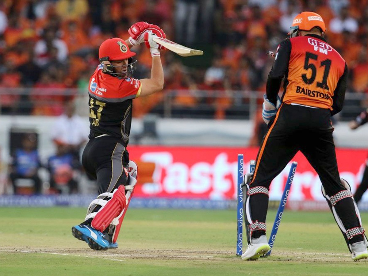 sunrisers beat Royal Challengers Bangalore 118 runs Photo Gallery - Sakshi3