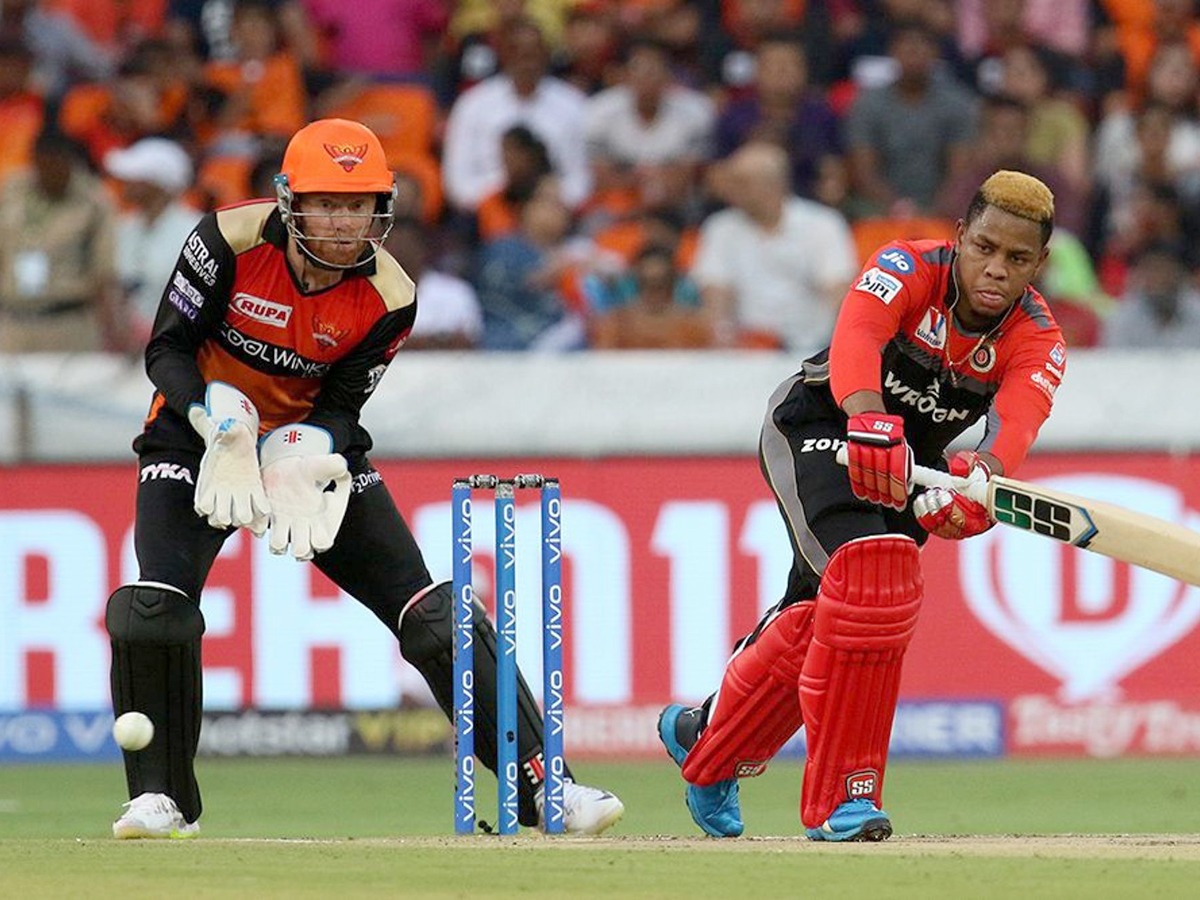 sunrisers beat Royal Challengers Bangalore 118 runs Photo Gallery - Sakshi5