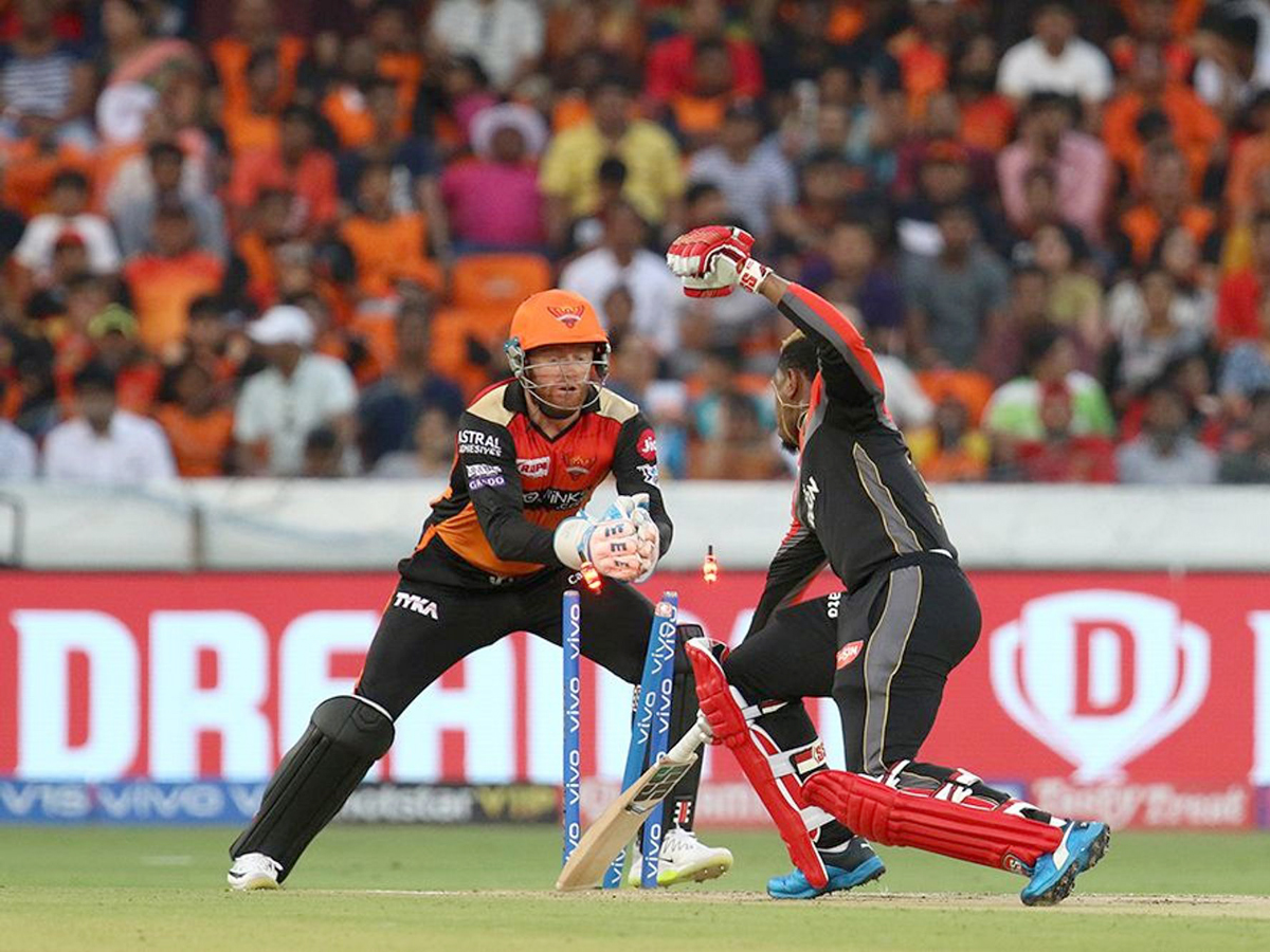 sunrisers beat Royal Challengers Bangalore 118 runs Photo Gallery - Sakshi6