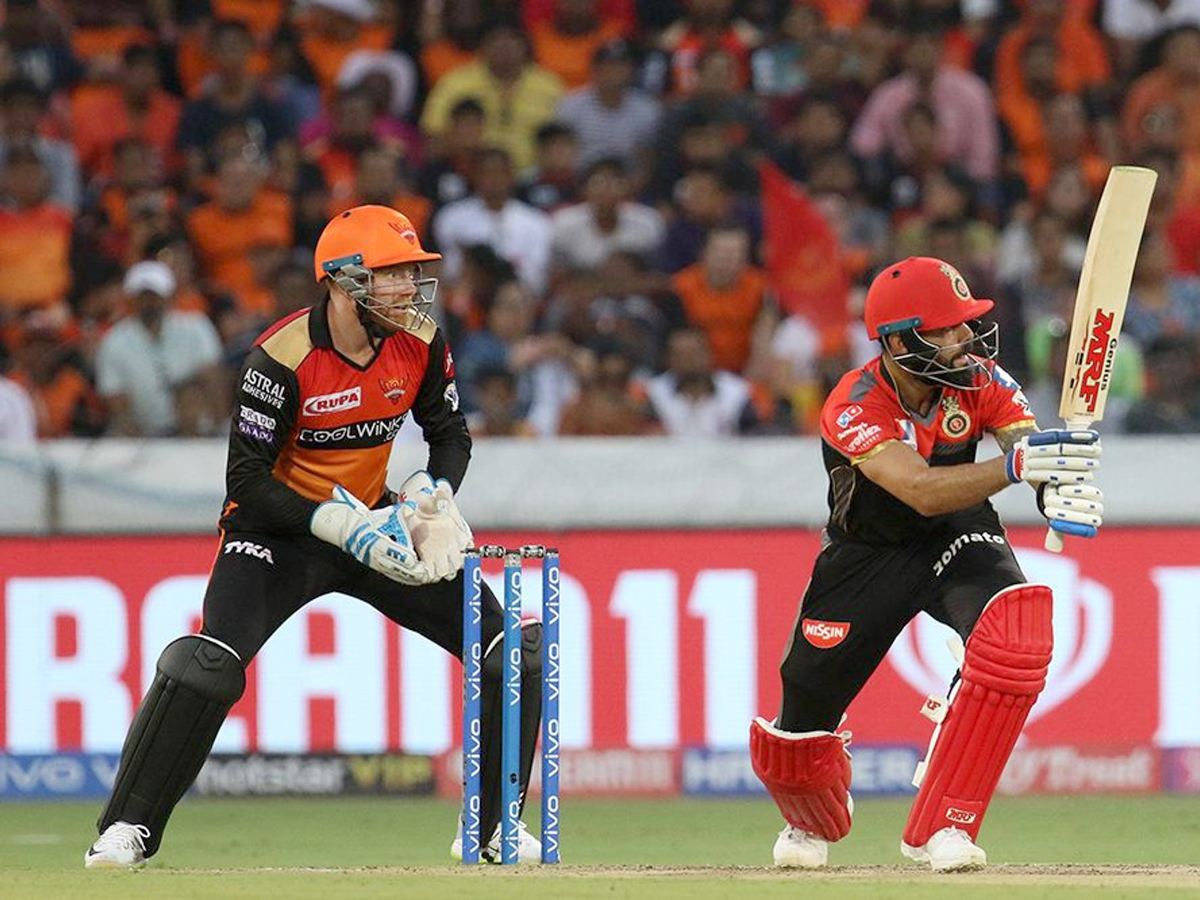 sunrisers beat Royal Challengers Bangalore 118 runs Photo Gallery - Sakshi8
