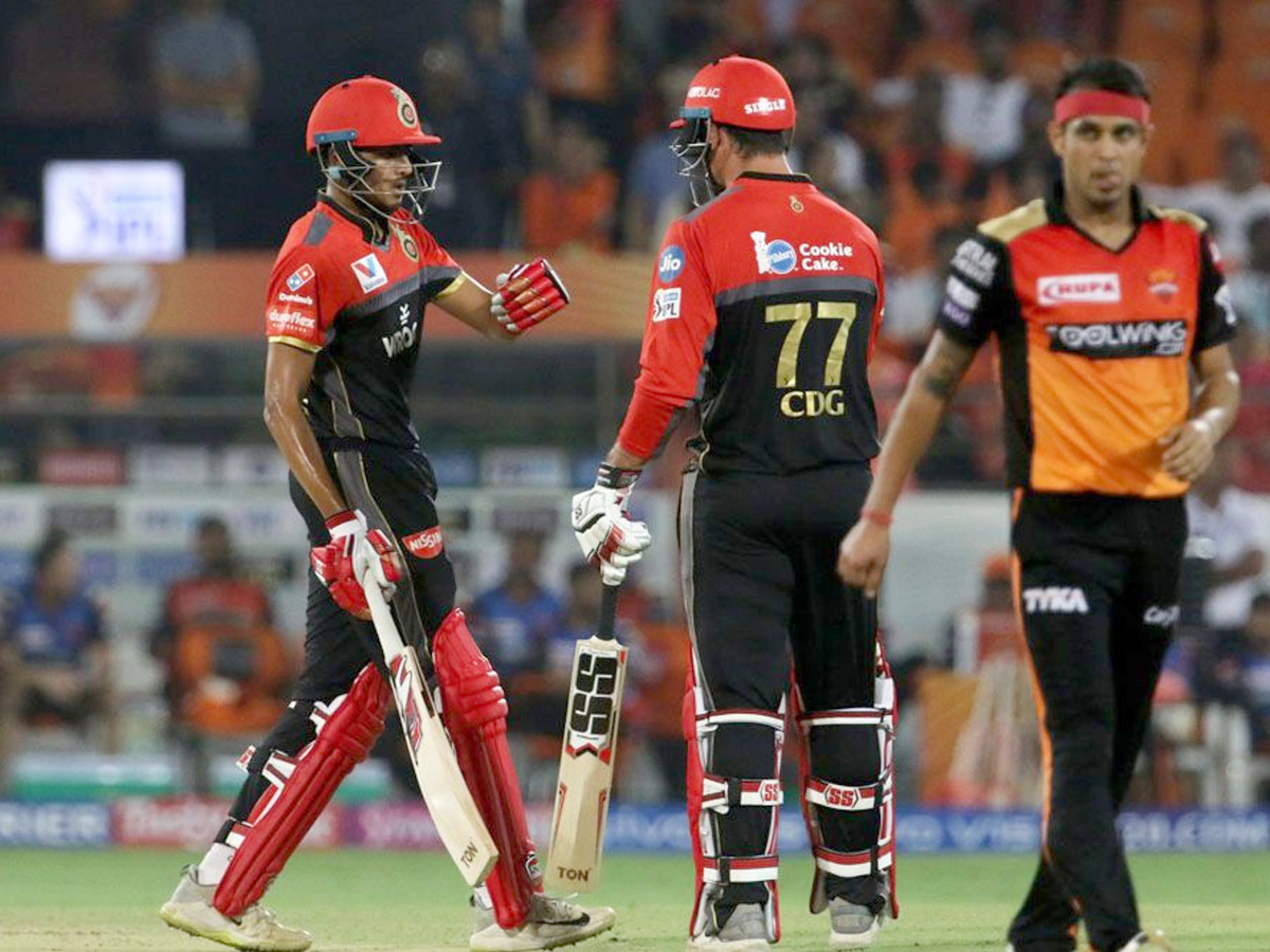 sunrisers beat Royal Challengers Bangalore 118 runs Photo Gallery - Sakshi9