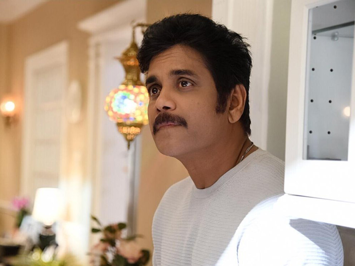 Manmadhudu-2 movie stills Photo Gallery - Sakshi10