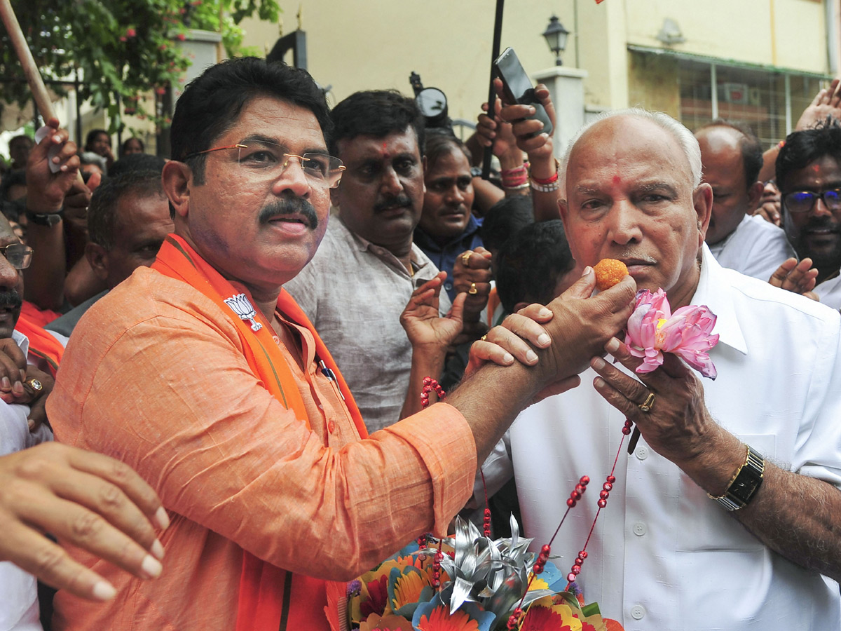 BJP supporters celebrate after trends indicate clean sweep for NDA - Sakshi14