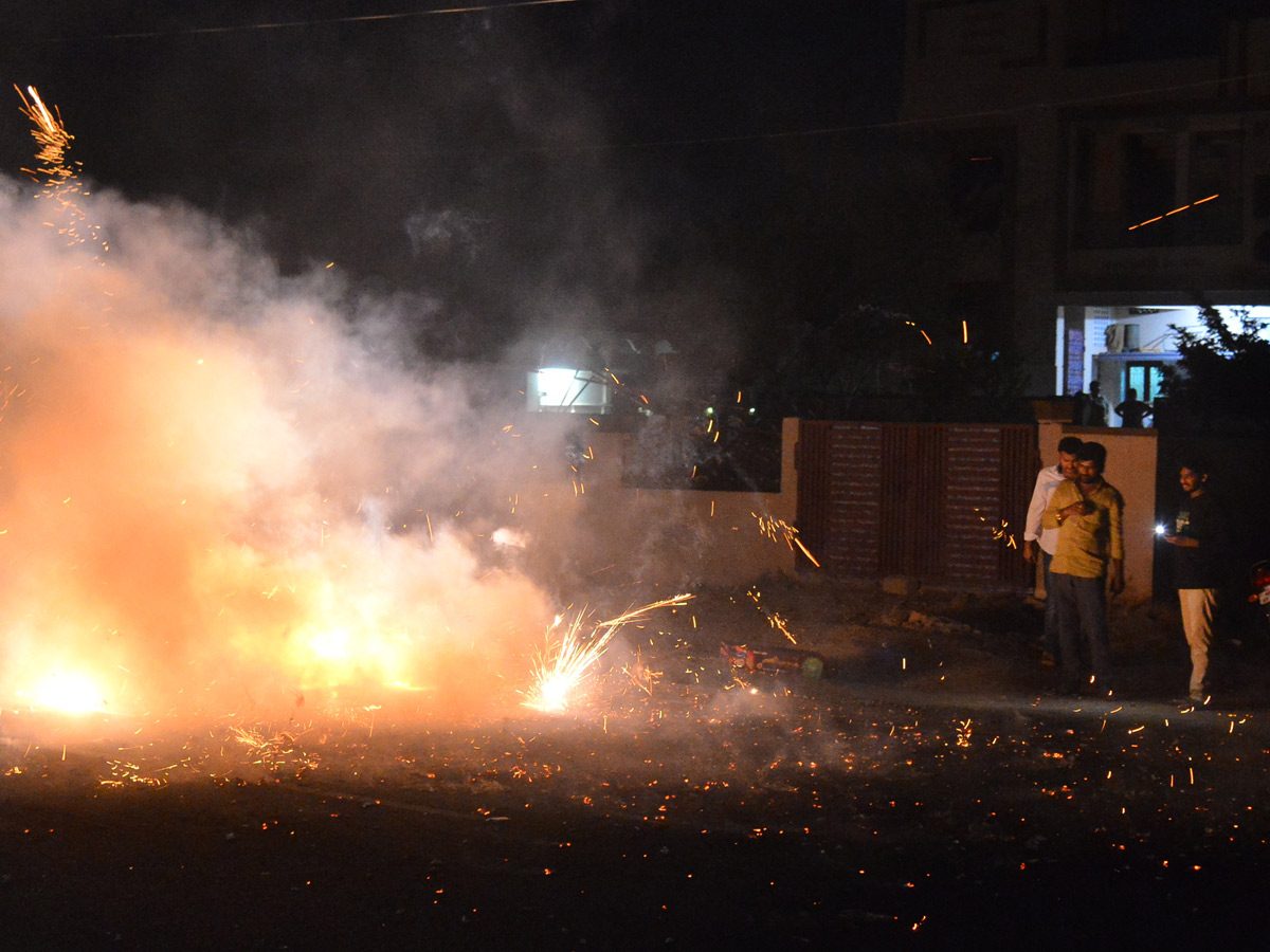 Celebrations YSRCP win in Andhra Pradesh Election Photo gallery - Sakshi10