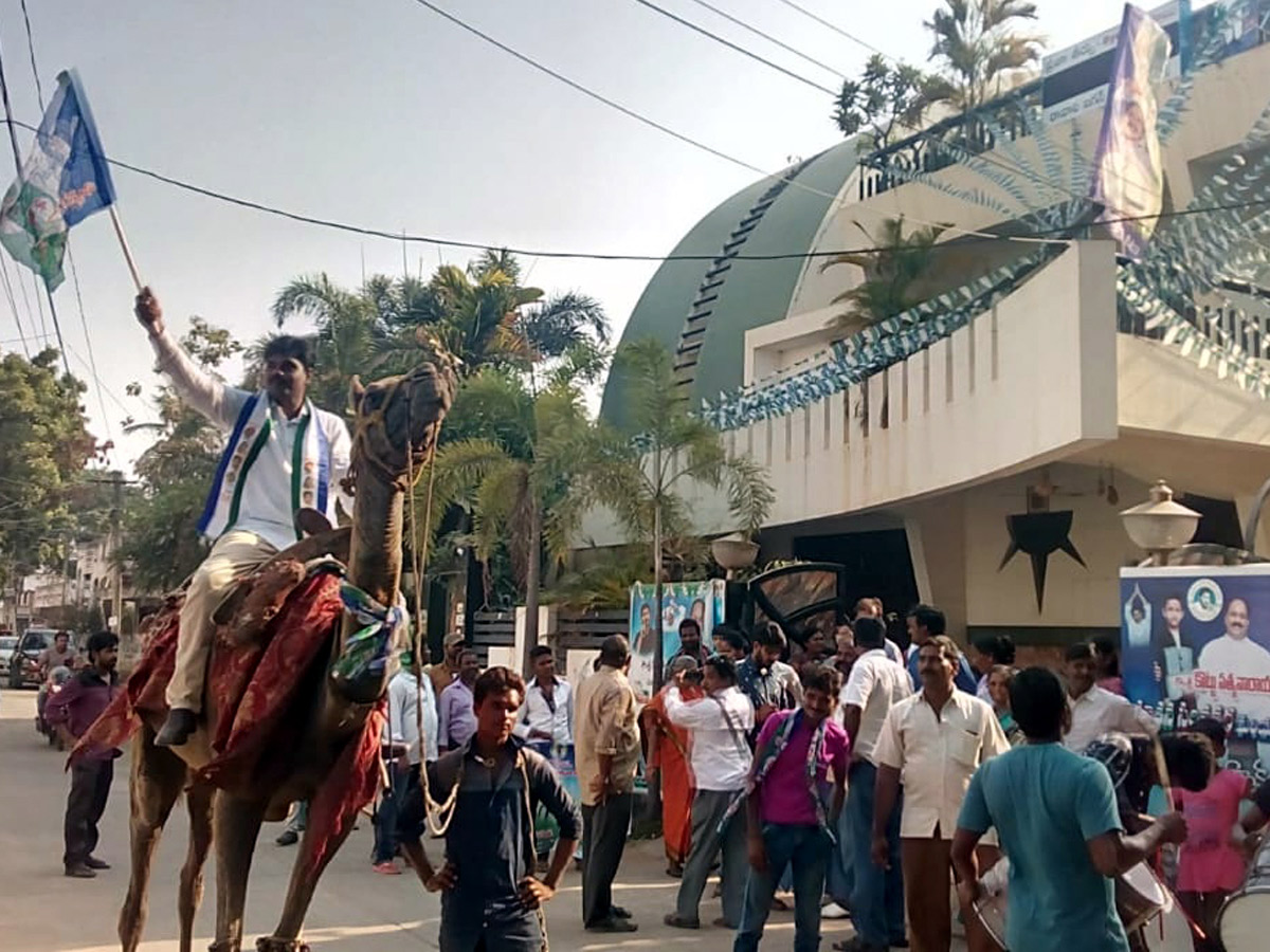 Celebrations YSRCP win in Andhra Pradesh Election Photo gallery - Sakshi12