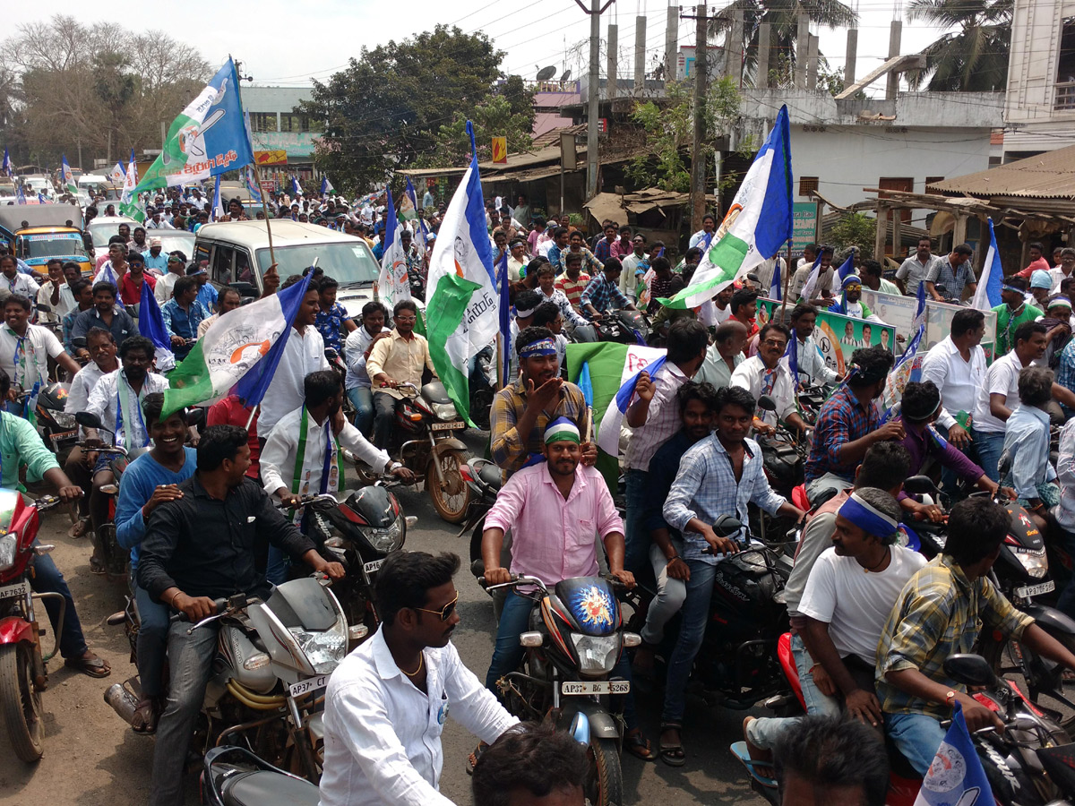 Celebrations YSRCP win in Andhra Pradesh Election Photo gallery - Sakshi23