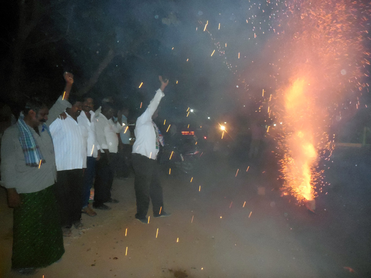 Celebrations YSRCP win in Andhra Pradesh Election Photo gallery - Sakshi34