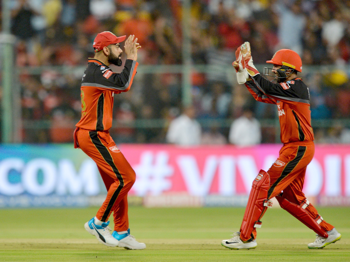 Royal Challengers beat sunrisers Photo Gallery - Sakshi18