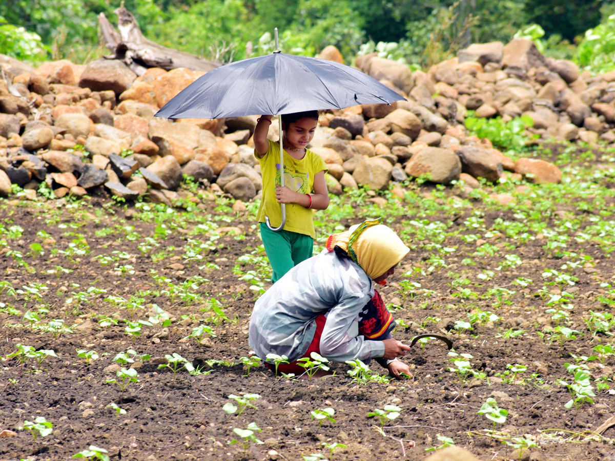 Images of The Week July 14 to July 21 2019 Photo Gallery - Sakshi4