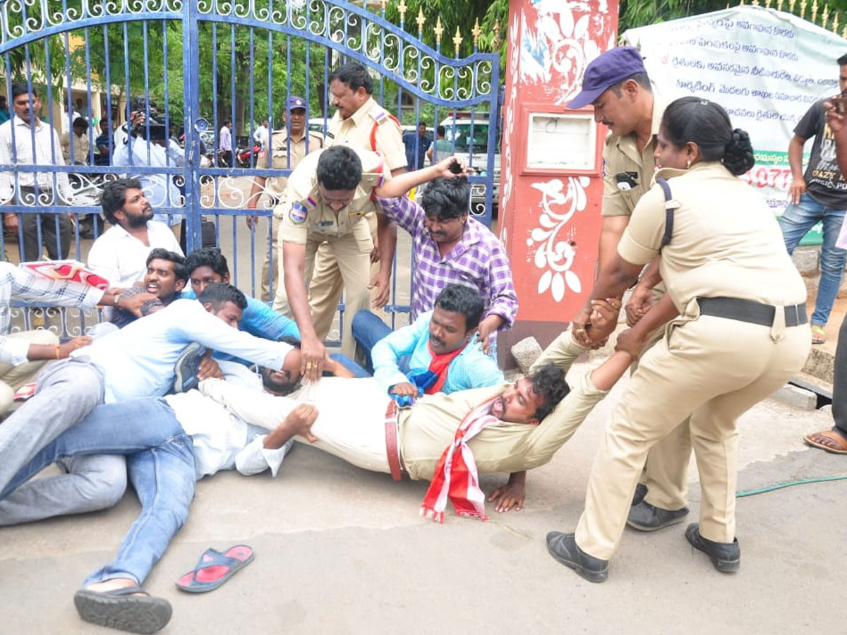 Images of The Week July 14 to July 21 2019 Photo Gallery - Sakshi1