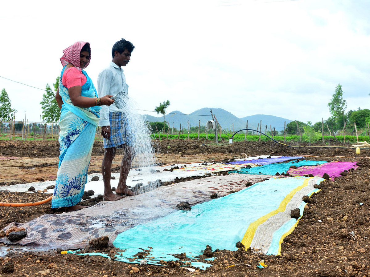 Images of The Week July 14 to July 21 2019 Photo Gallery - Sakshi14