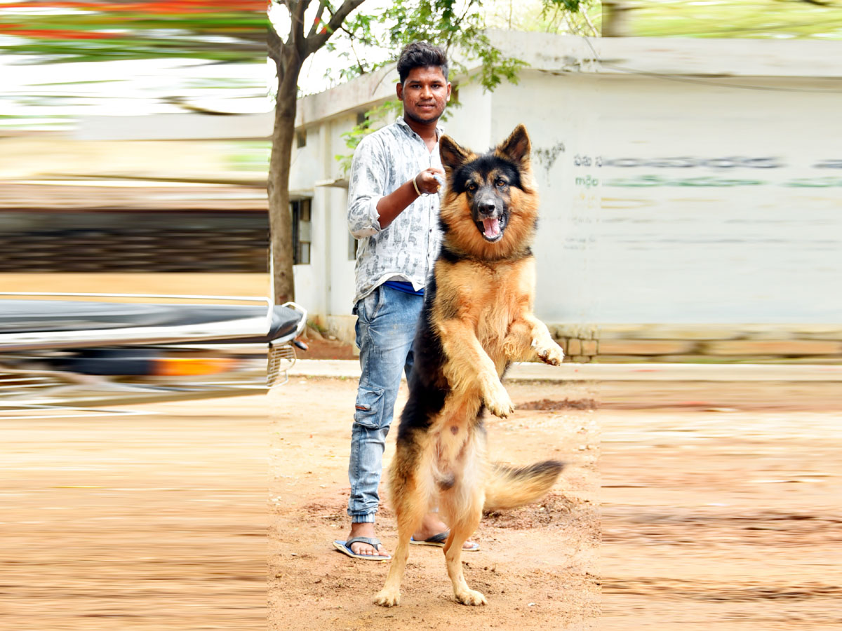 Images of The Week July 14 to July 21 2019 Photo Gallery - Sakshi44