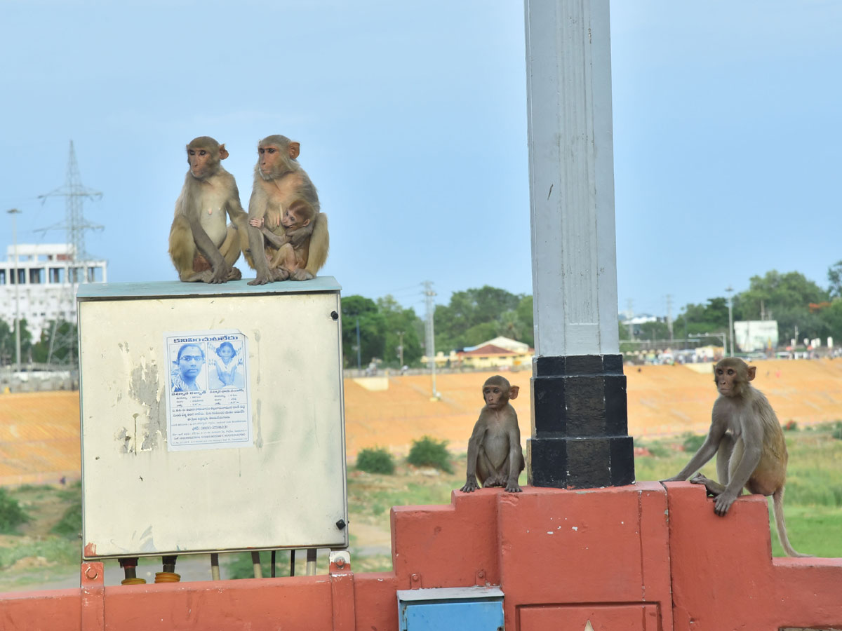 Images of The Week July 14 to July 21 2019 Photo Gallery - Sakshi38