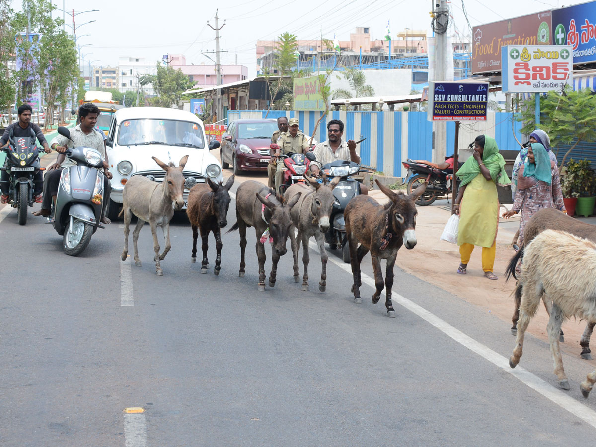 Images of The Week July 14 to July 21 2019 Photo Gallery - Sakshi39