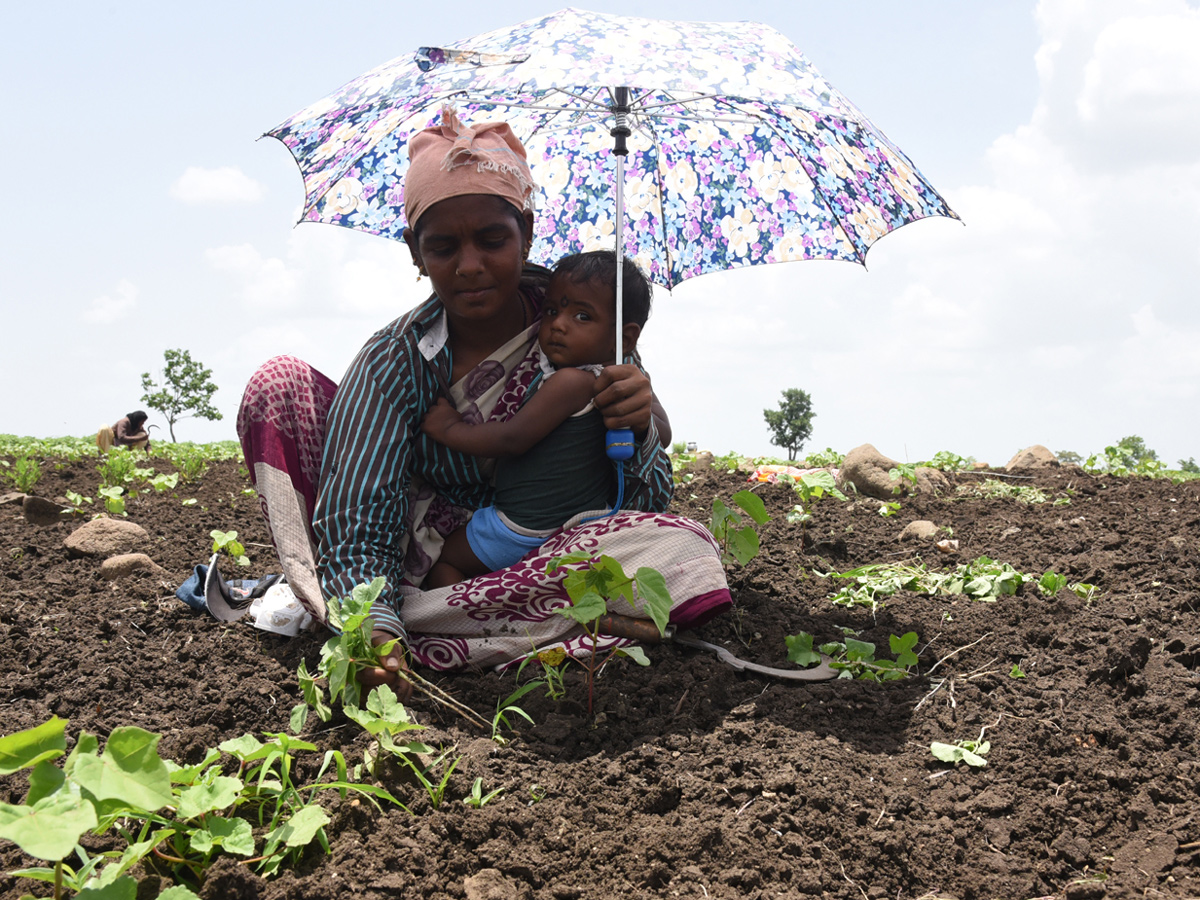 Best pics of The Week in AP and Telangana july 21 to july 28 2019 - Sakshi7