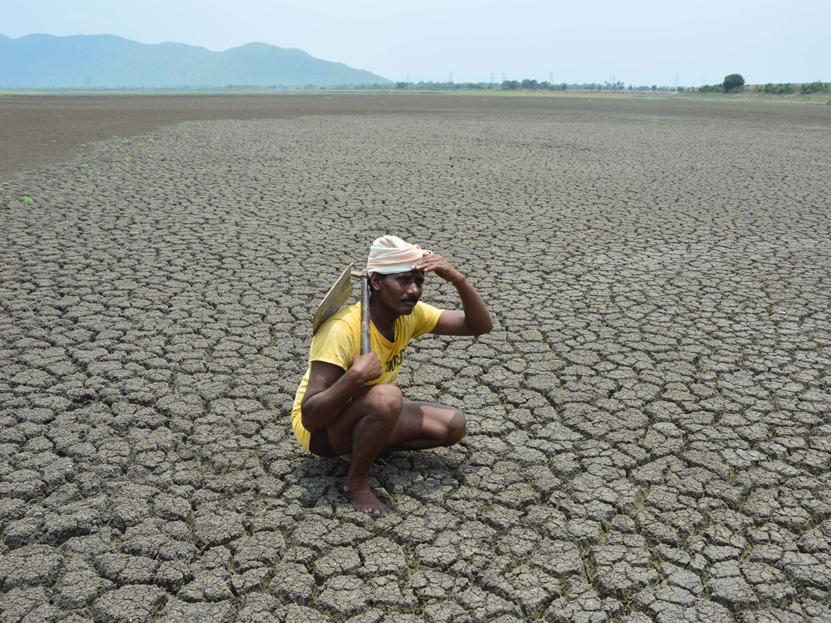 Best pics of The Week in AP and Telangana july 21 to july 28 2019 - Sakshi36