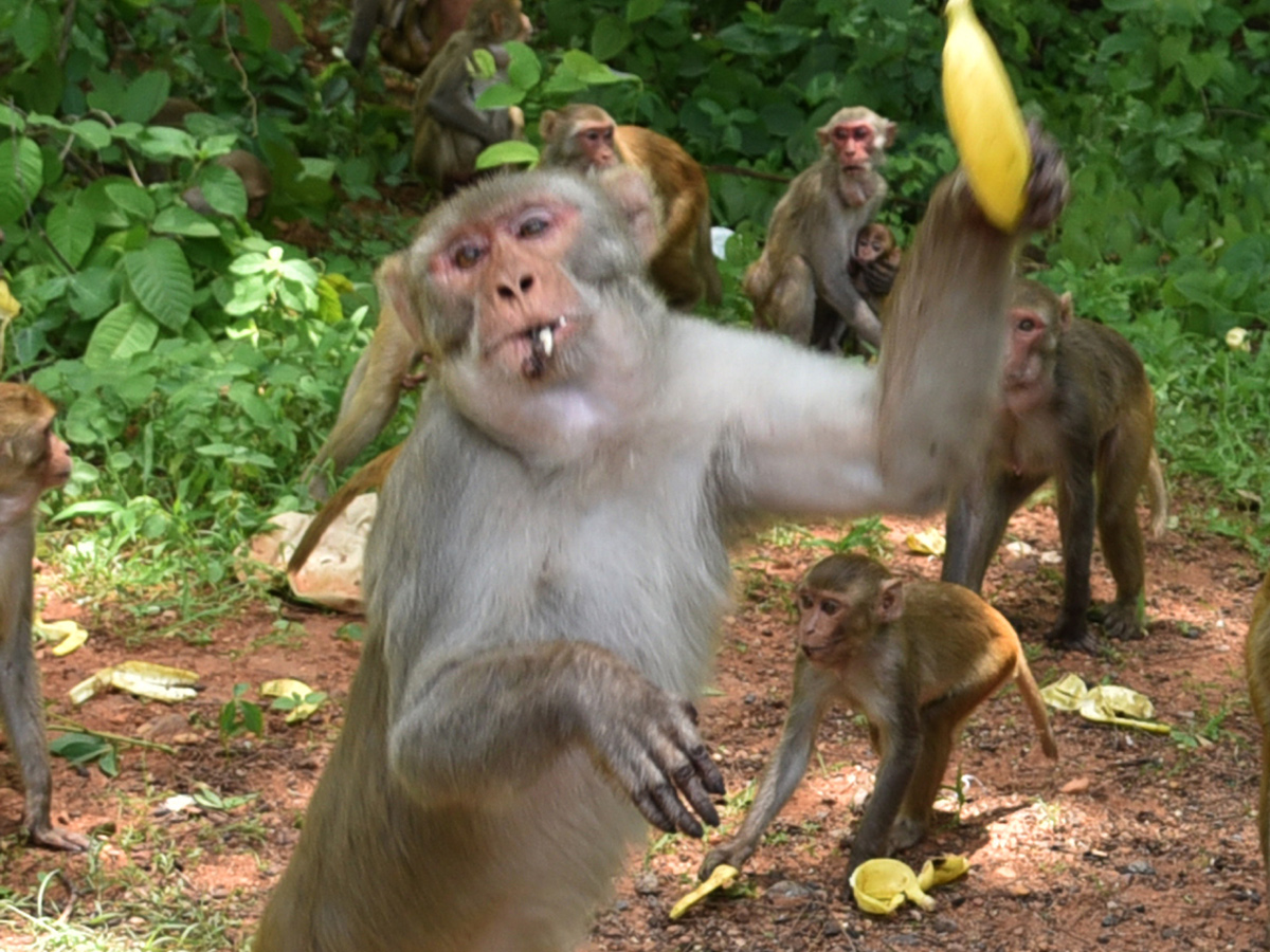 Best pics of The Week in AP and Telangana july 21 to july 28 2019 - Sakshi39